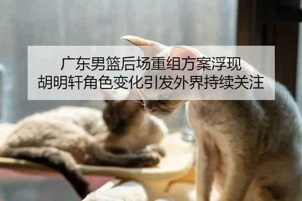 广东男篮后场重组方案浮现 胡明轩角色变化引发外界持续关注